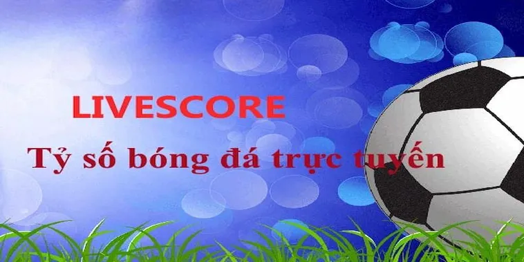 Tỷ Số Bóng Đá Trực Tuyến Cập Nhật Nhanh Nhất Cho Người Hâm Mộ