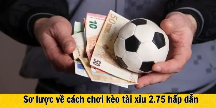 Hướng Dẫn Đặt Cược Chiến Thuật Kèo 2.75 Hiệu Quả Nhất Cho Người Chơi