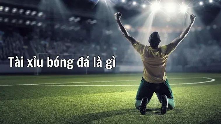 Hướng Dẫn Soi Kèo Tài Xỉu Bóng Đá Chuẩn Xác Dành Cho Mọi Cao Thủ