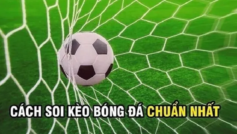 Bí Quyết Chinh Phục Kèo Rung Trong Bóng Đá Mang Lại Lợi Nhuận Khủng Nhất Hiện Nay